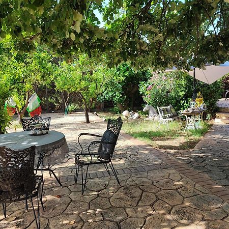 Stone House With Seaview Apartment เนอาโปติไดอา ภายนอก รูปภาพ